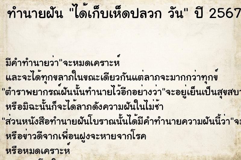 ทำนายฝันทำนายฝันได้เก็บเห็ดปลวกวัน